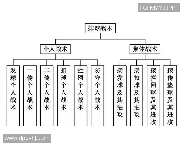 广州排球队的控制打法深度分析与战术解析