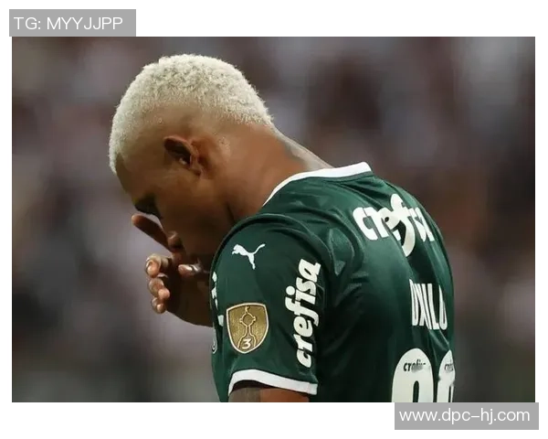 巴西足球新星小老虎的成长历程与辉煌成就全解析